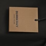 Burberry 24Fw Padded Hooded Jacket Black