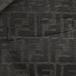 Fendi  24ss FF print blazer