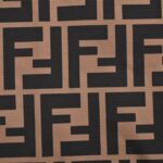 Fendi Printed stand collar jacket
