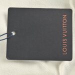 Louis Vuitton Airplane lettering logo print hoodie