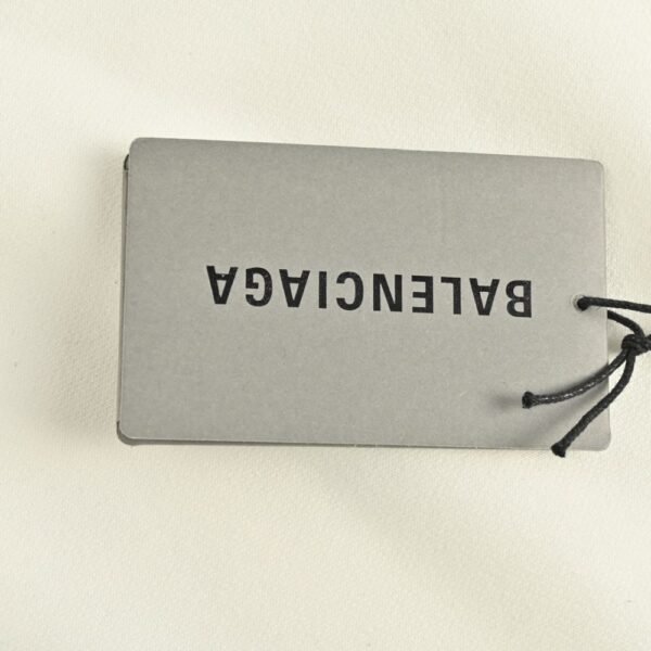 Balenciaga 24Fw Printed sweatshirt