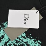 Dior 24Fw Ink splash letter print sweatshirt