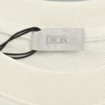 Dior 24Fw Embroidered pin lettering sweatshirt