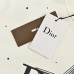 Dior 24Fw Five-pointed star letter print sweatshirt