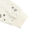 Dior 24Fw Five-pointed star letter print sweatshirt