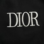 Dior CD side print webbing trousers