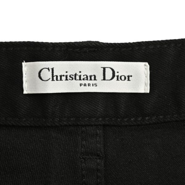 Dior 24Fw Dinosaur jeans