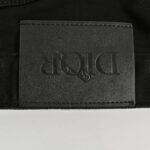 Dior 24Fw Dinosaur jeans