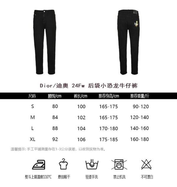 Dior 24Fw Dinosaur jeans