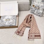 Dior Bookmark Cashmere Scarf Navy Toffee color