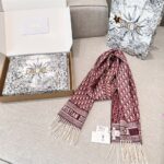 Dior Bookmark Cashmere Scarf Navy Wine Red