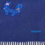 Hermes space university scarf Blue