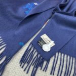Hermes space university scarf Blue