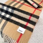Burberry Letter check double-sided camel