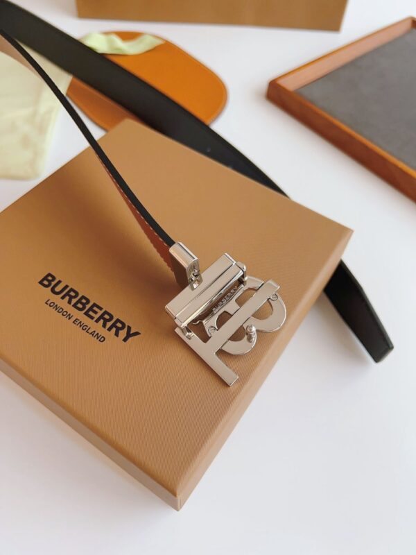 Burberry Belt
