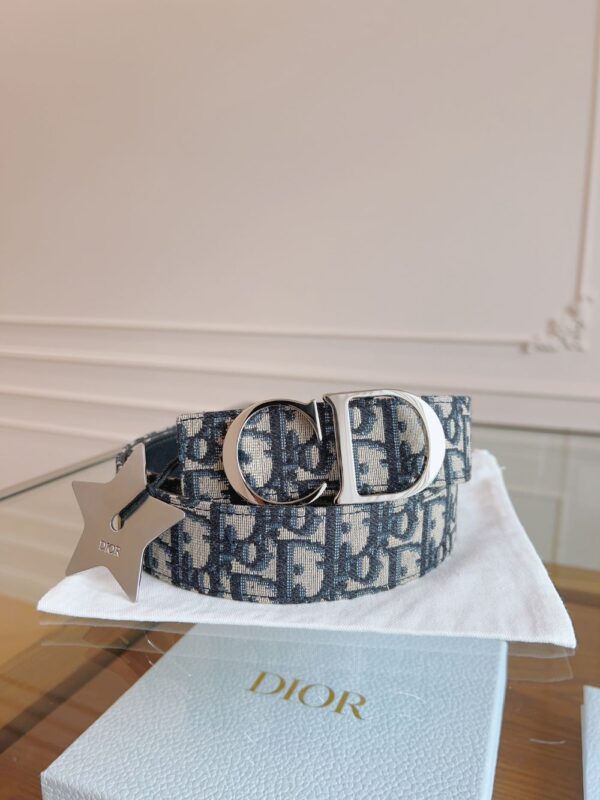 Dior Belt