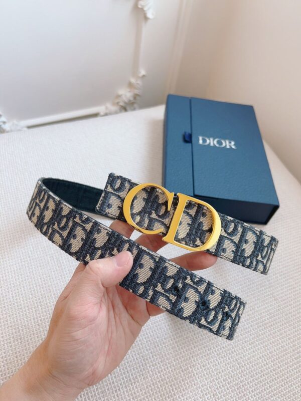Dior Belt