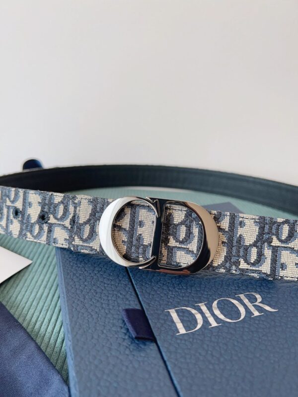 Dior Belt