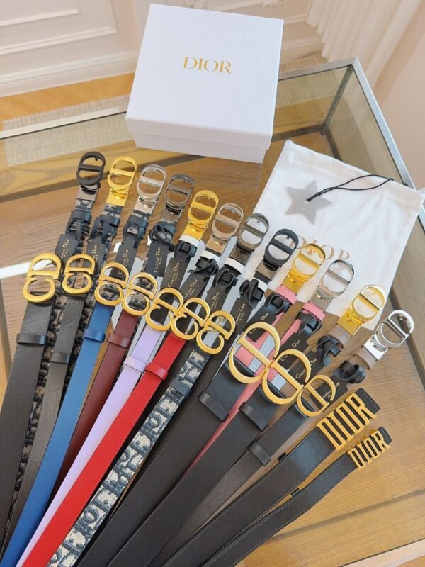 Dior Belt