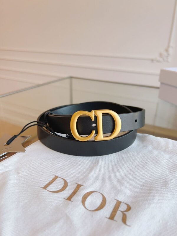 Dior Belt