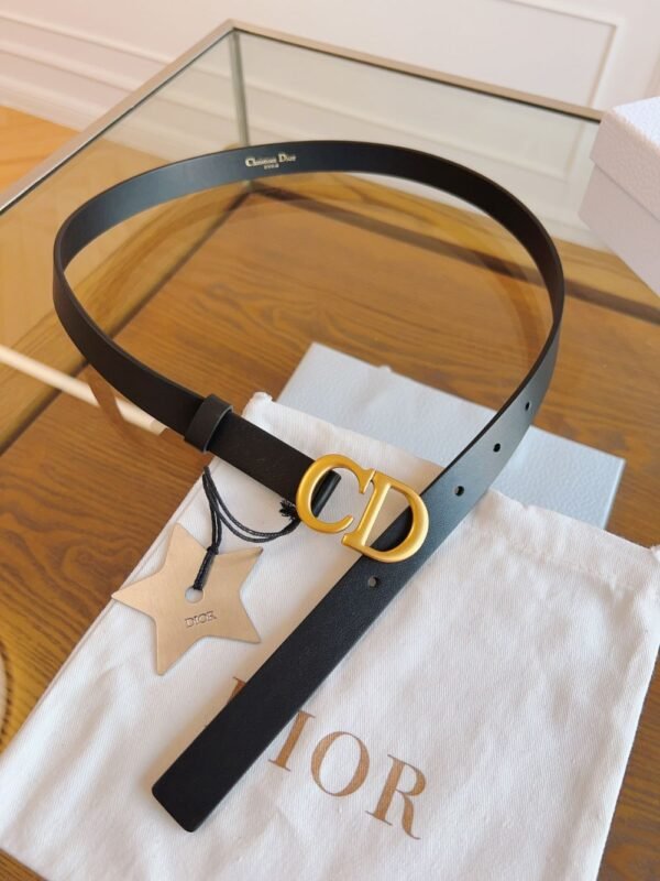 Dior Belt