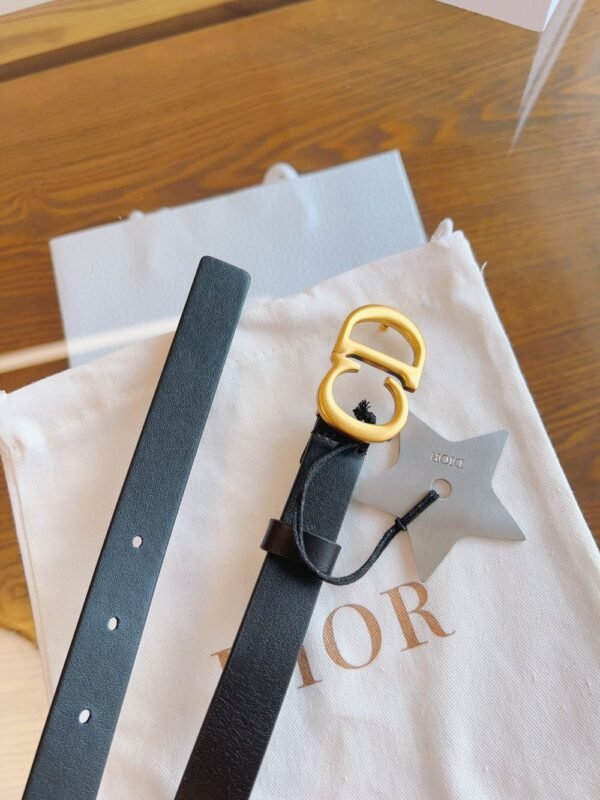 Dior Belt