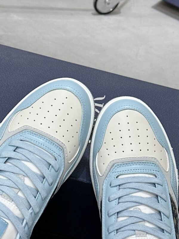 Dior B27 Low White Blue