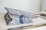 Dior Book Tote Gradient Tiger DR-08