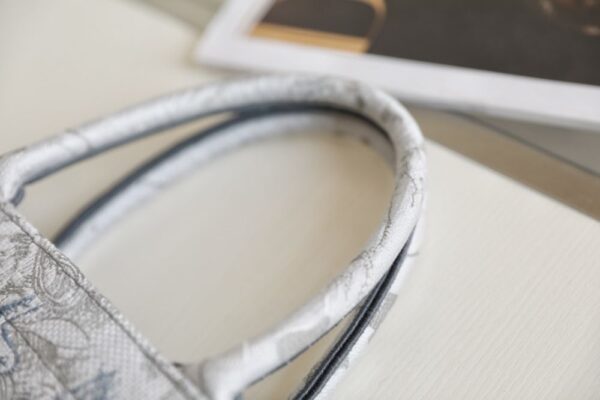 Dior Book Tote Gradient Tiger DR-08
