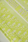 Dior Book Tote Oblique Fluorescent Green