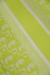 Dior Book Tote Oblique Fluorescent Green
