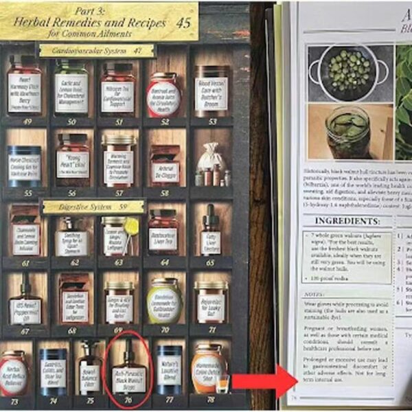 Forgotten Home Apothecary